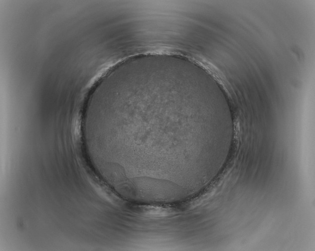 X0000115690347200911121312