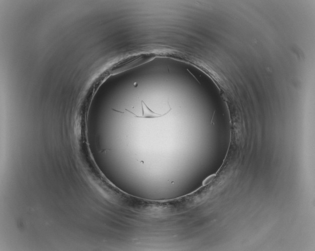 X0000115690350200911121312
