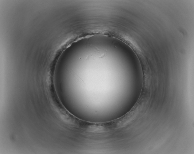 X0000115690354200911121312