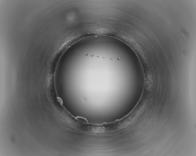 X0000115690355200911121312