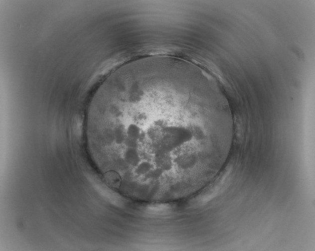 X0000115690357200911121312