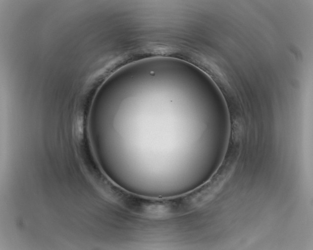 X0000115690358200911121312