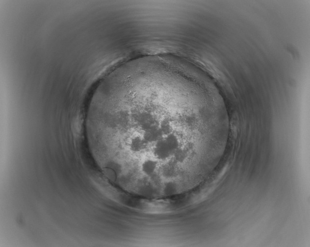 X0000115690359200911121312
