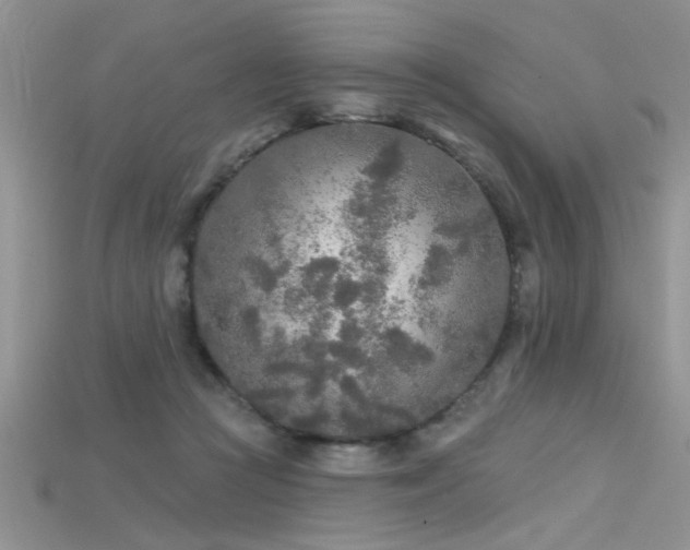 X0000115690361200911121312
