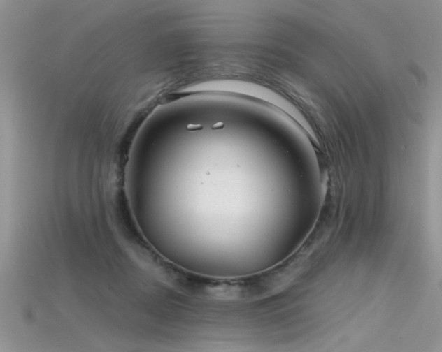 X0000115690362200911121313