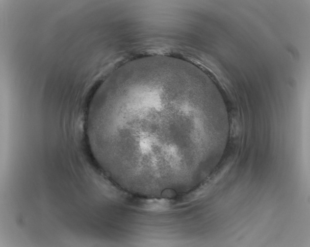 X0000115690363200911121313