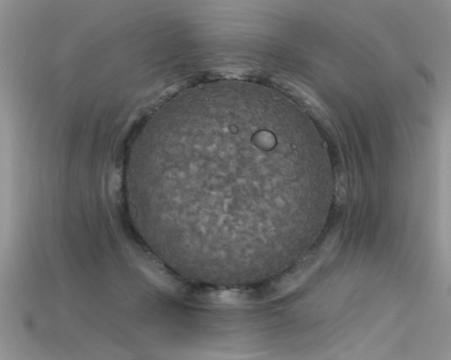 X0000115690365200911121313