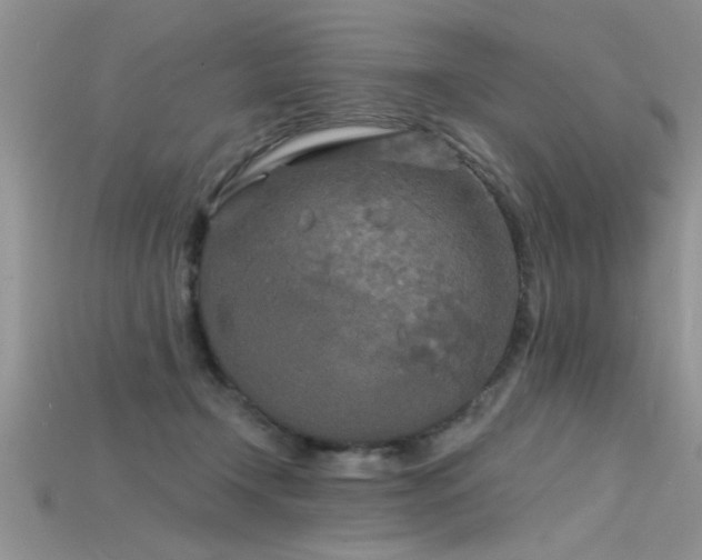 X0000115690366200911121313