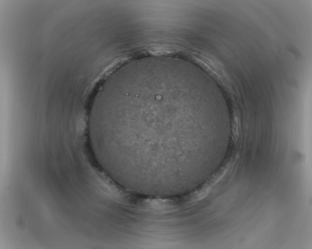 X0000115690367200911121313