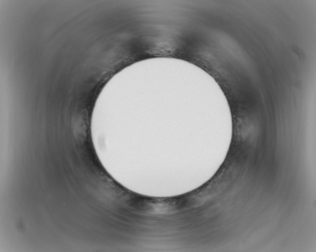 X0000115690370200911121313