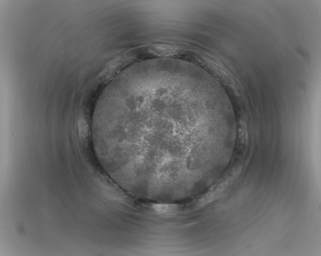 X0000115690371200911121313