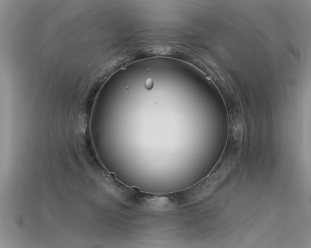 X0000115690374200911121313