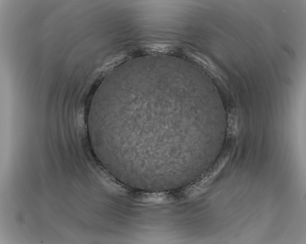 X0000115690377200911121313
