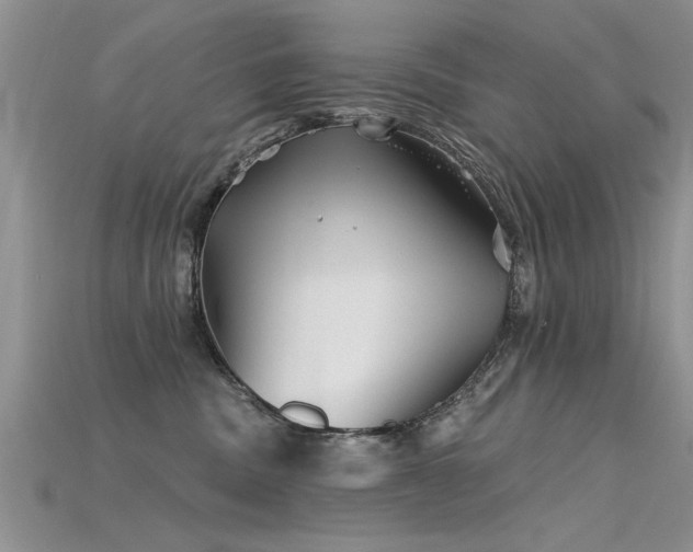 X0000115690379200911121313