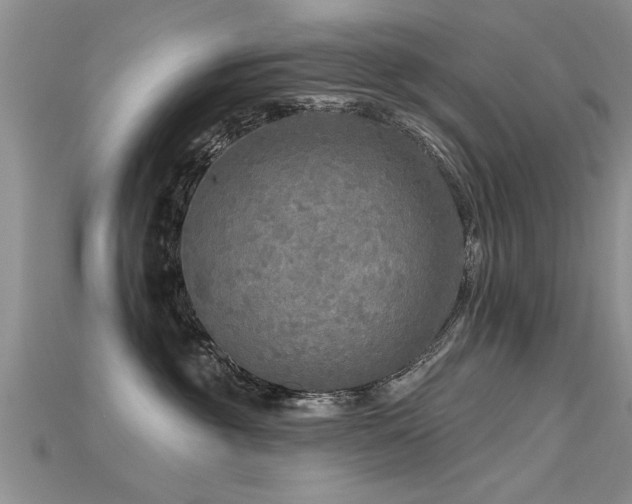 X0000115690381200911121313