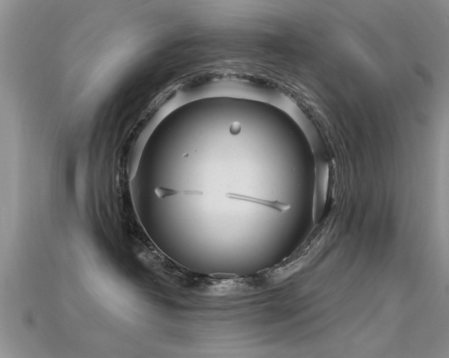 X0000115690382200911121313