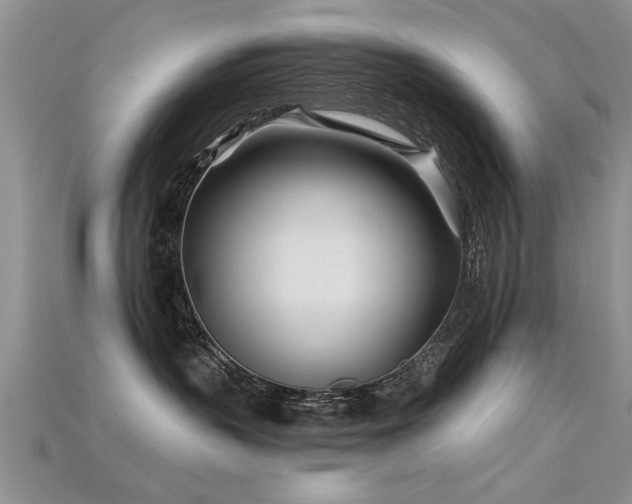 X0000115690383200911121313