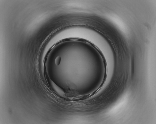 X0000115690387200911121312