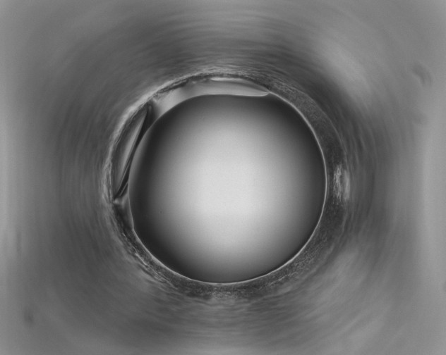 X0000115690388200911121312