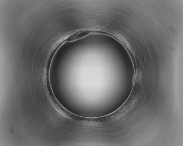 X0000115690389200911121312