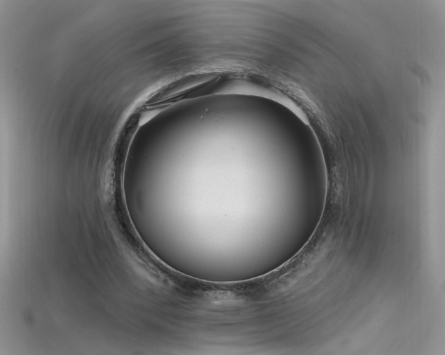 X0000115690392200911121312