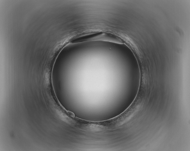 X0000115690393200911121312