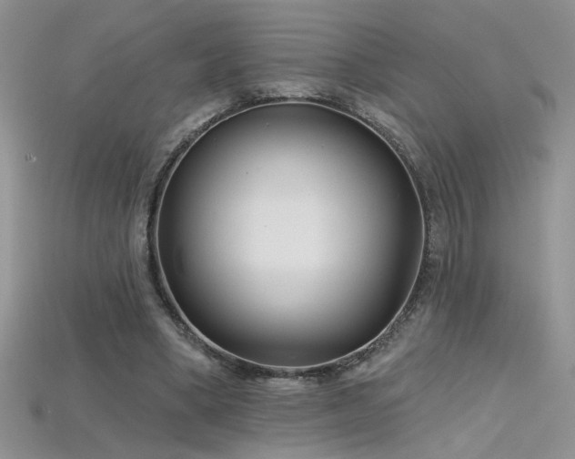 X0000115690394200911121312