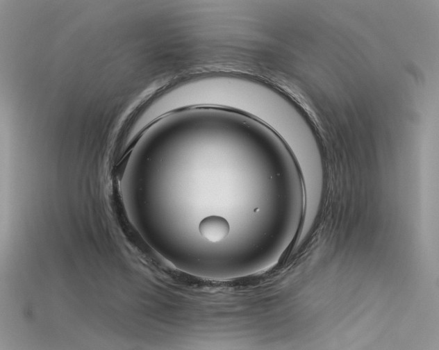 X0000115690395200911121312