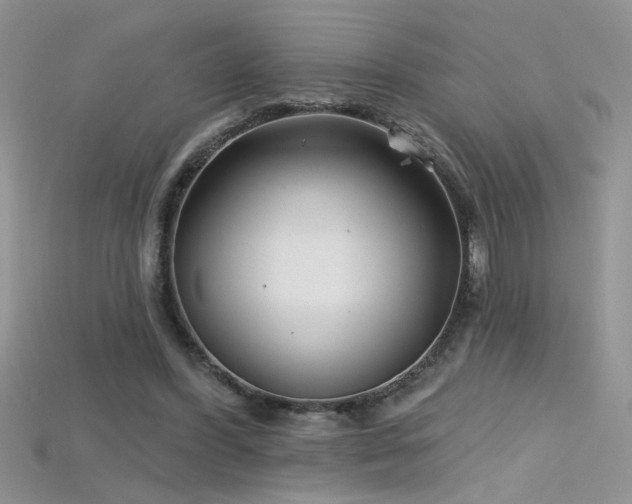 X0000115690396200911121312