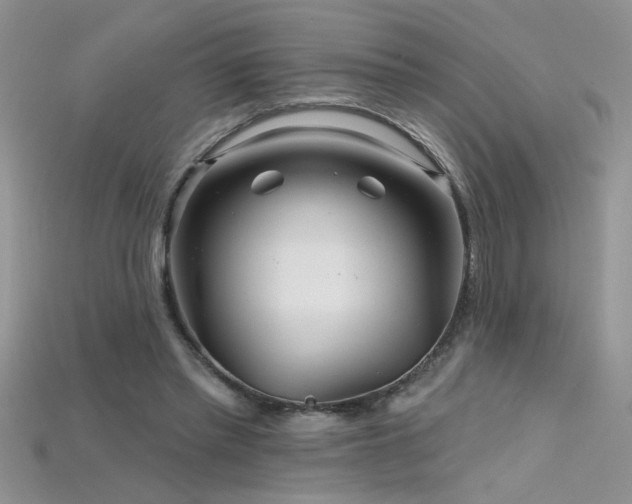 X0000115690397200911121312