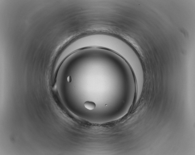 X0000115690399200911121312