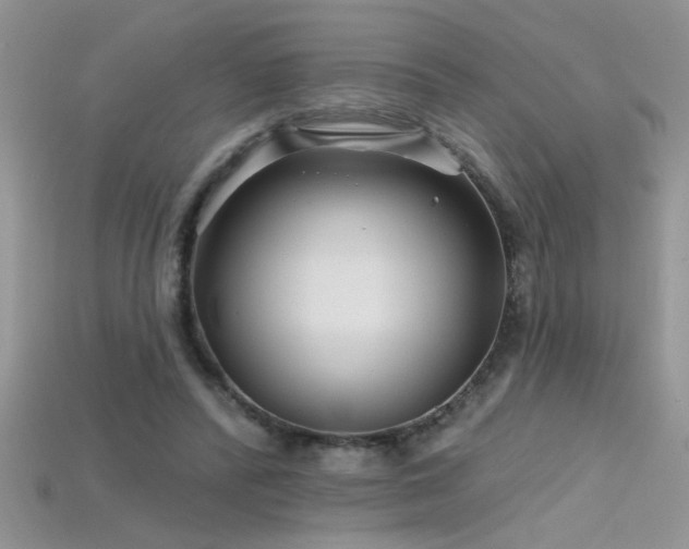 X0000115690400200911121312