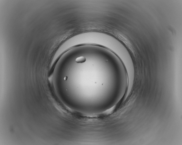 X0000115690401200911121312