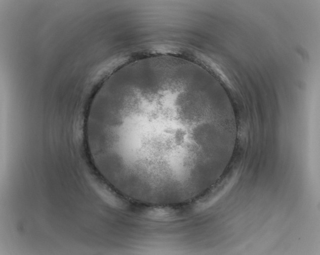 X0000115690402200911121312