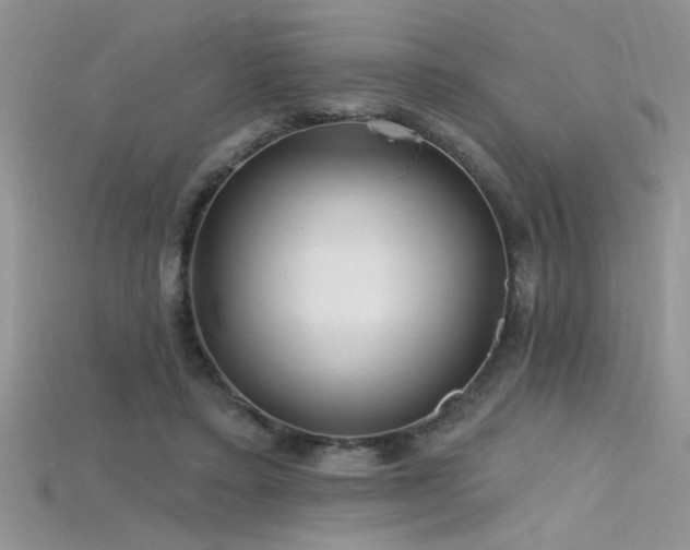 X0000115690403200911121312