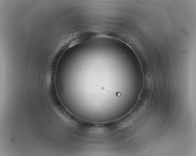 X0000115690404200911121312
