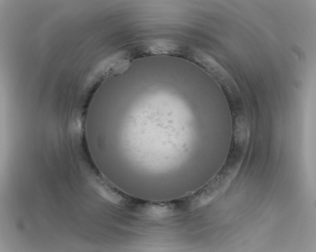 X0000115690405200911121312