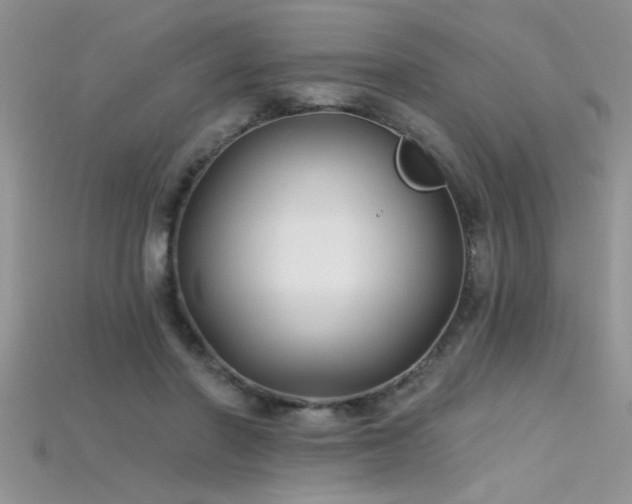 X0000115690406200911121312