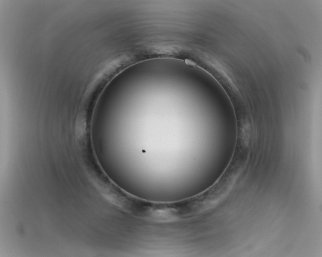 X0000115690407200911121312