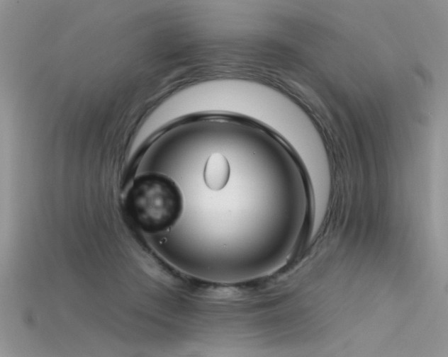 X0000115690409200911121312