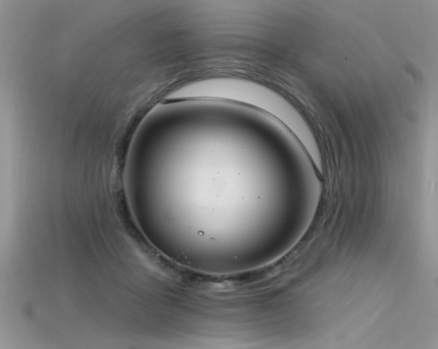 X0000115690411200911121312