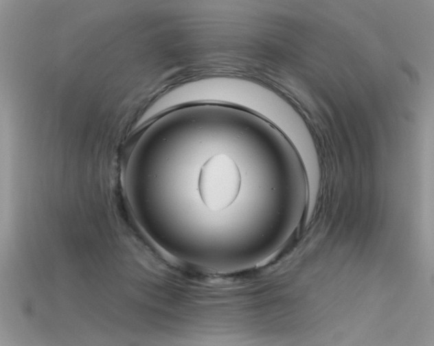 X0000115690413200911121312