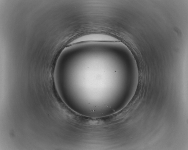 X0000115690415200911121312