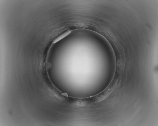 X0000115690416200911121312