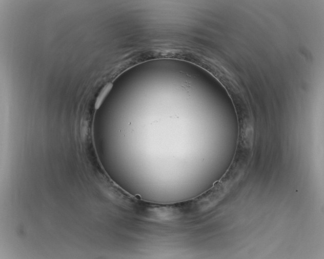 X0000115690417200911121312