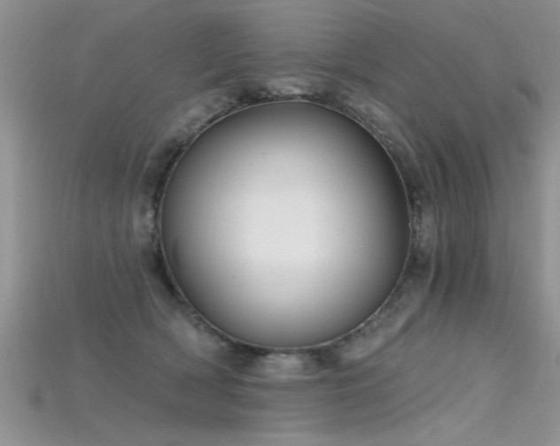 X0000115690418200911121312