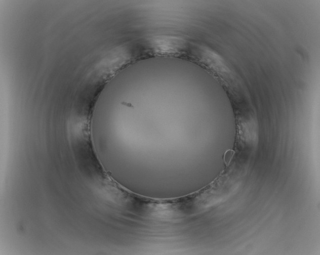 X0000115690419200911121312