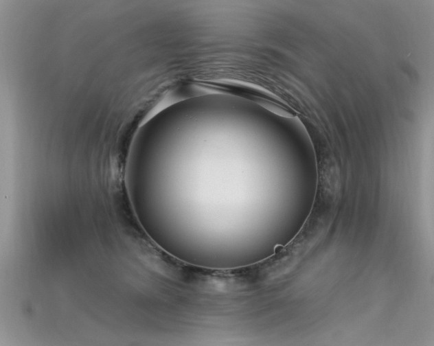 X0000115690420200911121312