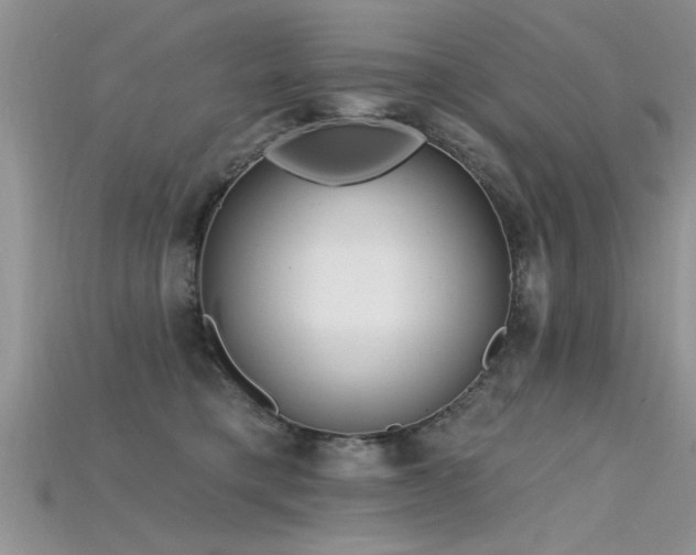 X0000115690421200911121312