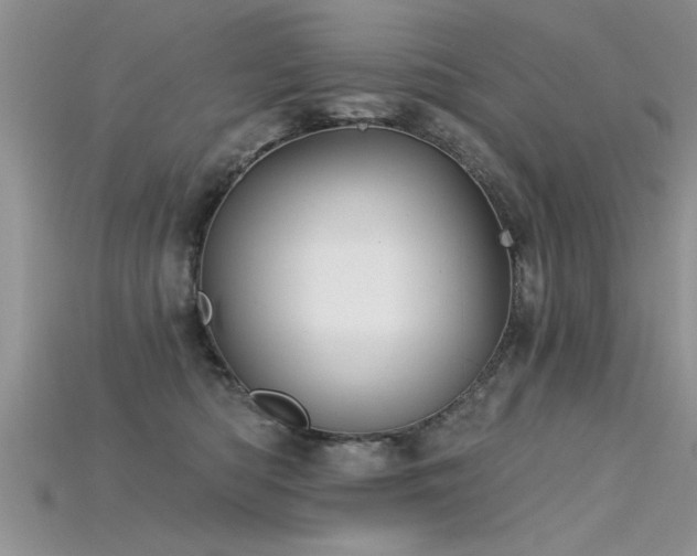 X0000115690422200911121312